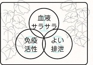 肥後春男の１・２・３健康法